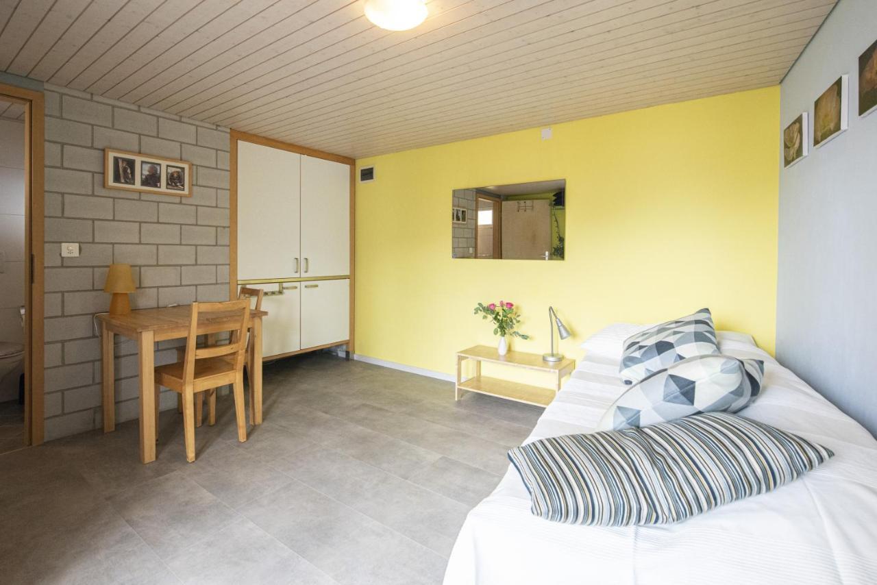 Casa Eva Apartment Ronco sopra Ascona Luaran gambar