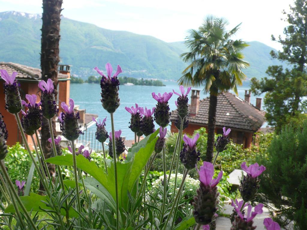 Casa Eva Apartment Ronco sopra Ascona Luaran gambar